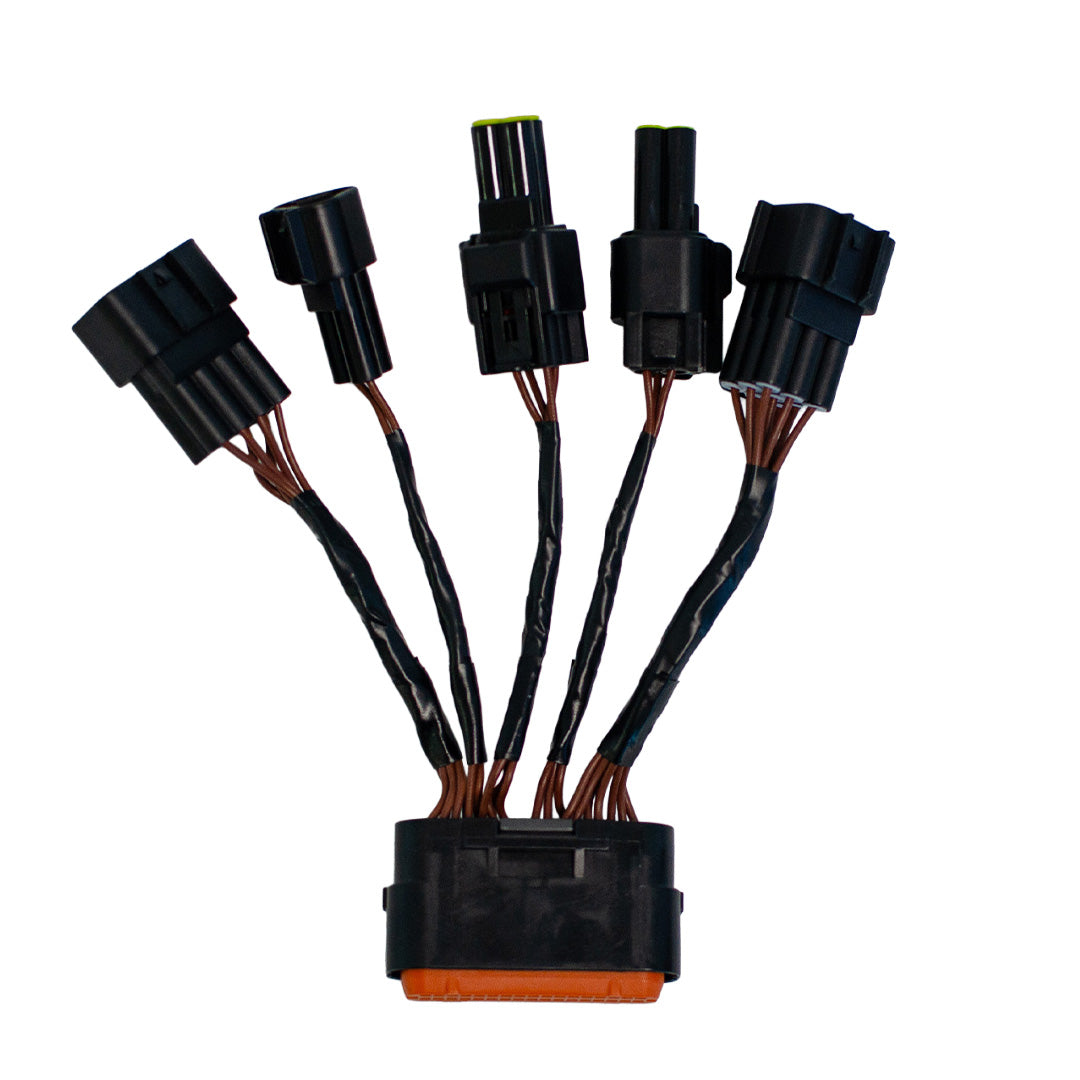 torplbxloom - Surron Off Road USA